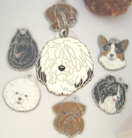 obesek old english sheepdog bobtail